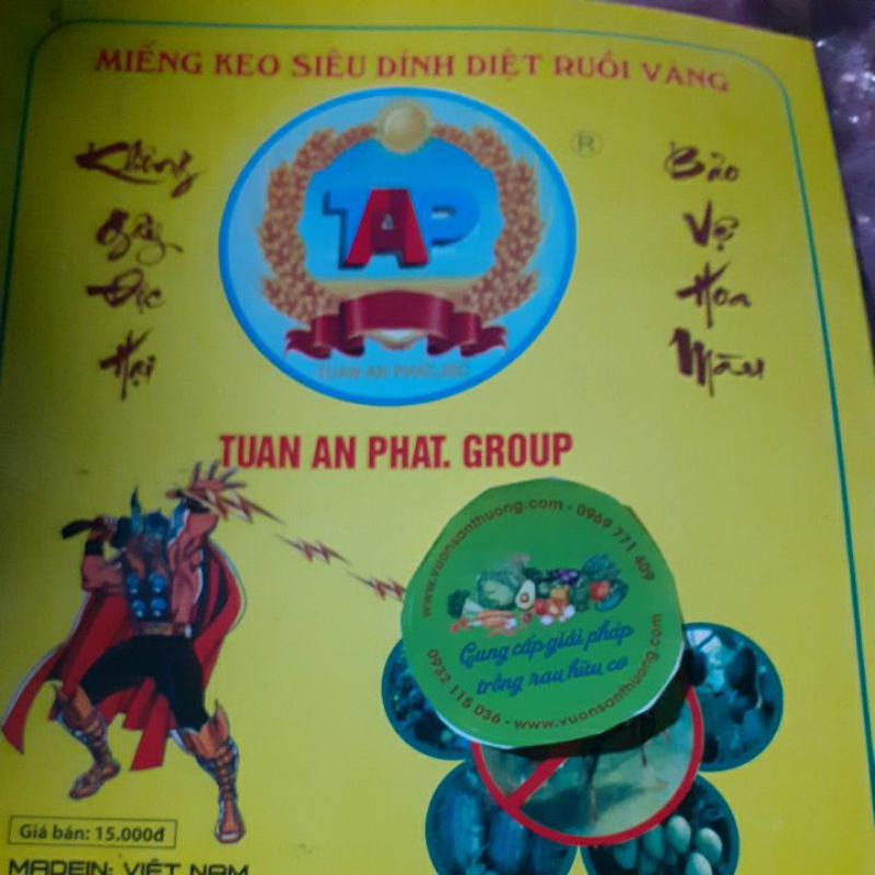 1 Miếng Bẫy Ruồi Vàng Hai Mặt, an Toàn Của Cty Tuan an phat Group