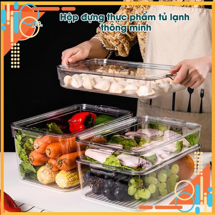 Hộp đựng bảo quản thực phẩm trong tủ lạnh nhựa PP cao cấp đa năng có thể làm khay đựng cốc và đồ makeup