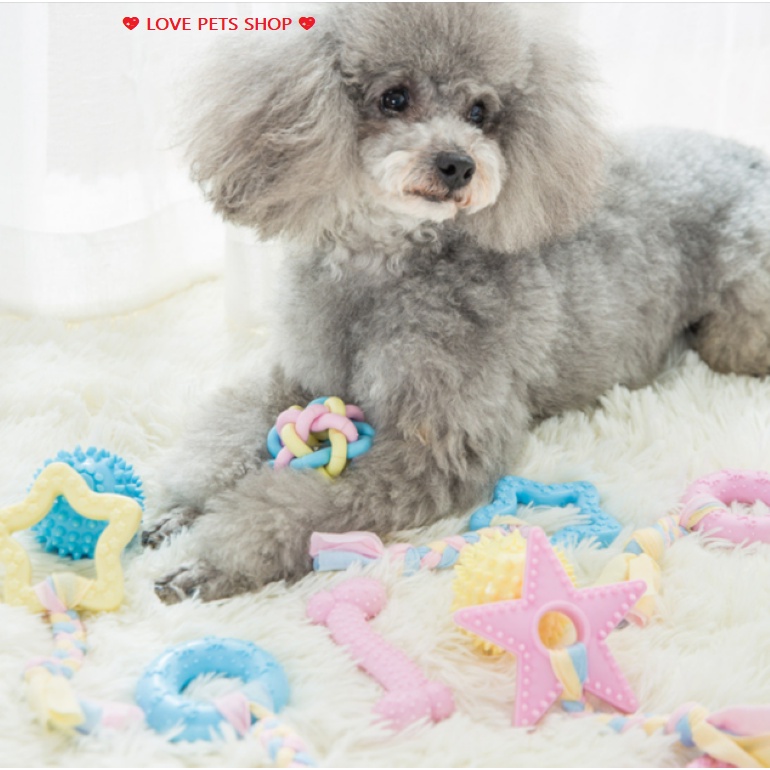 ĐỒ CHƠI XƯƠNG GẶM CHO CHÓ MÈO KÈM DÂY THỪNG &quot;MẪU MỚI&quot; - LOVE PETS SHOP