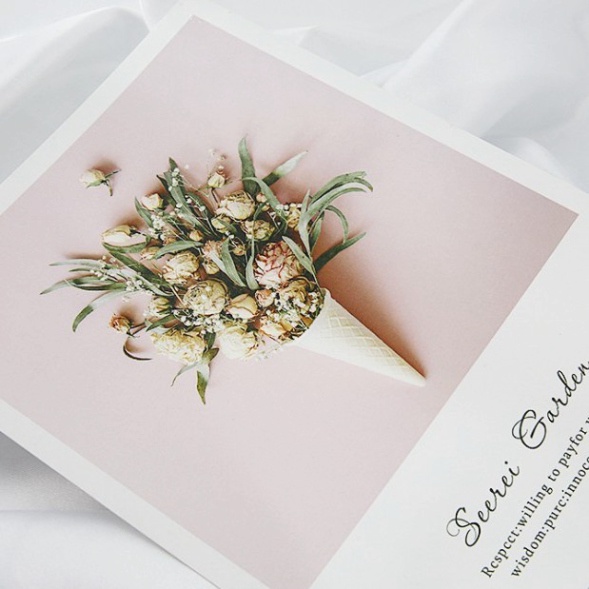 Ảnh bìa sách đẹp phụ kiện trang trí chụp ảnh sản phẩm xin xắn. postcard decor