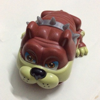 Khám răng chó bull