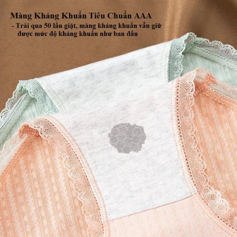 Quần lót nữ cạp cao màng kháng khuẩn 530