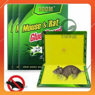 Miếng keo dán bẩy chuột
