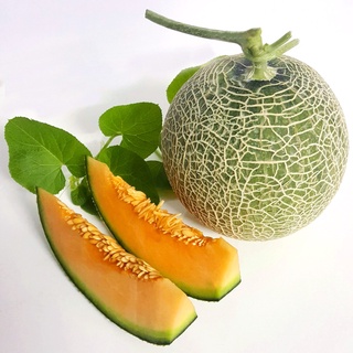 Dưa lưới (1,1-2kg/quả)