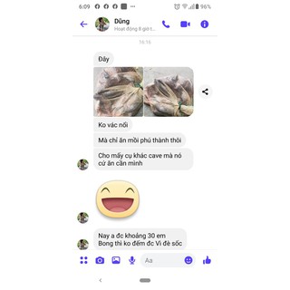 [ ƯU ĐÃI ] Mồi câu cá số 6. Hãng mồi câu cá Phú Thành