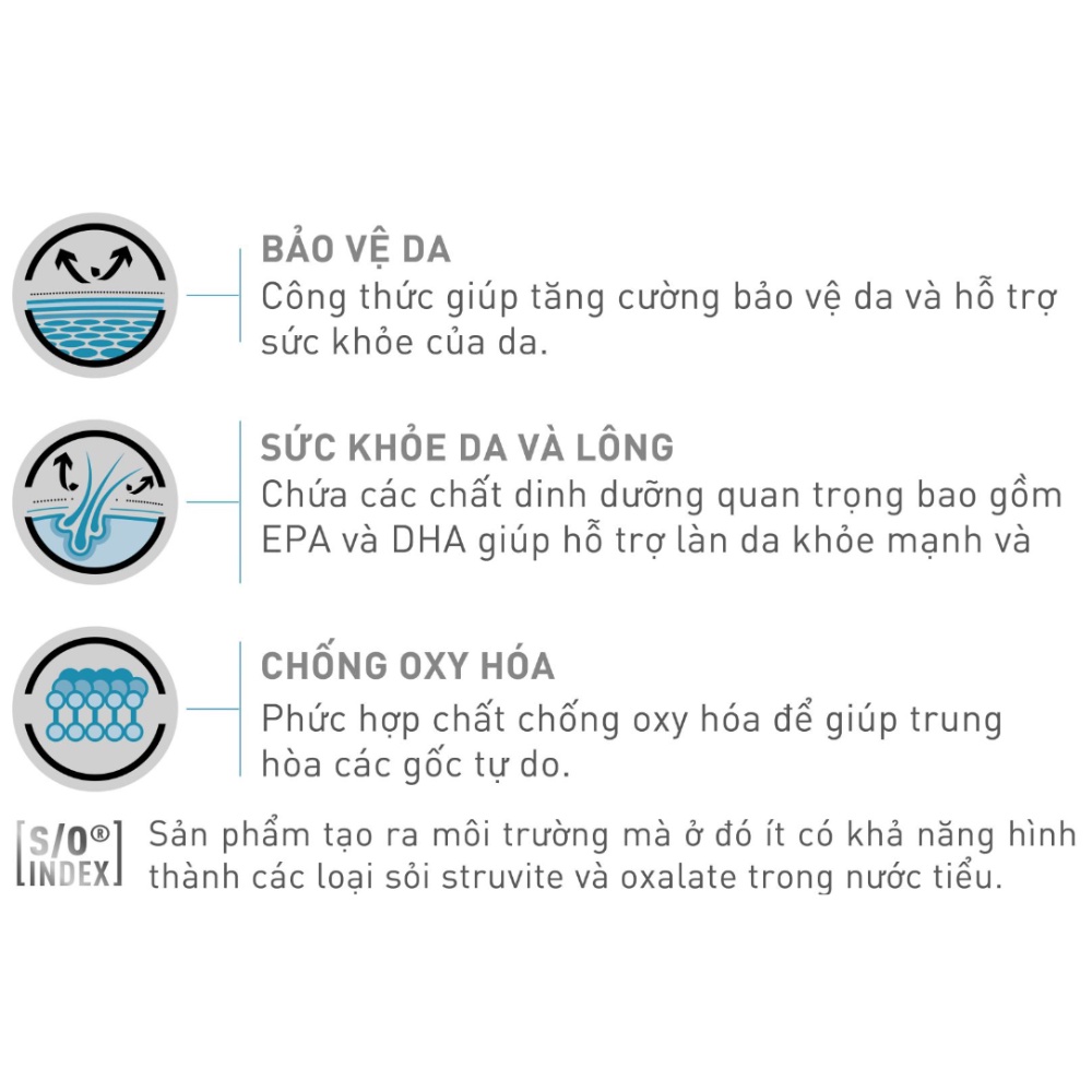 ROYAL CANIN SKIN &amp; COAT - HỖ TRỢ MÈO BỊ VIÊM DA VÀ RỤNG LÔNG, túi 1.5Kg
