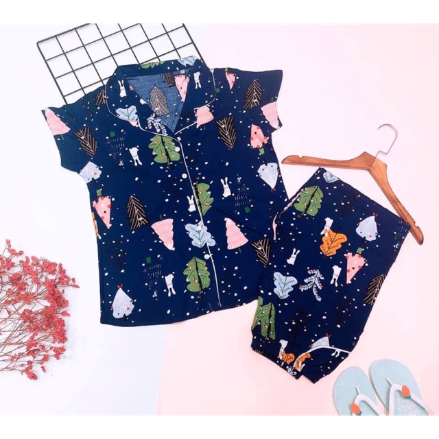 Combo 2/ bộ tole - lanh - tay ngắn quần dài - f21 - Hàng xuất khẩu - phù hợp với mọi lứa tuổi ( em thức)