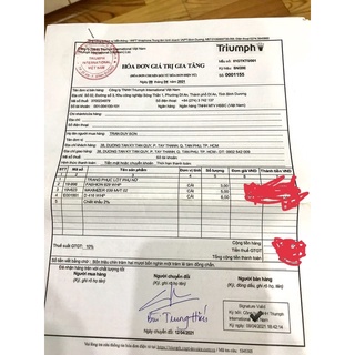 Áo lót nữ Maximizer 039 MVT 02