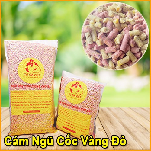 Cám ngũ cốc vàng đỏ Cho Gà Đá