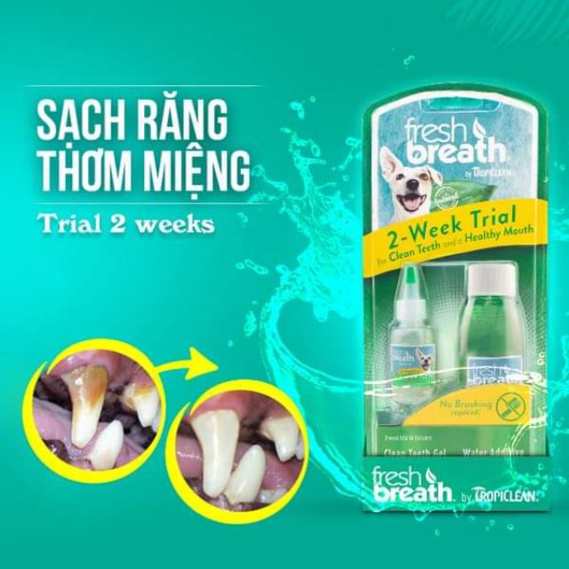 [ Tropiclean ] - bộ kit sạch răng dùng thử trong 2 tuần