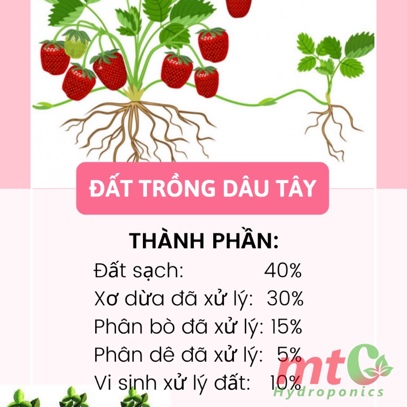 Đất Trộn Sẵn Chuyên Dùng Trồng Cây Dâu Tây, Đủ Dinh Dưỡng, Bao 2kg