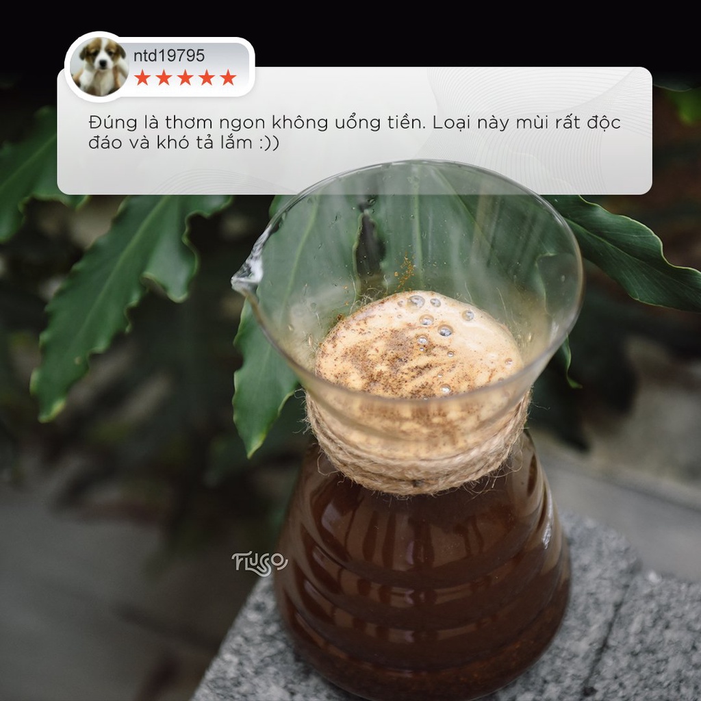 Cà Phê Cold Brew Nguyên Chất Flusso Summer Vibe - Cà Phê Ủ Lạnh Cold Brew, Pour Over