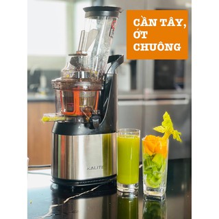Máy ép trái cây chậm cao cấp KALITE KL 565