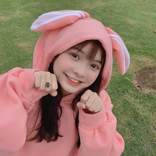 áo hoodie thỏ