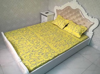 Ga chun poly và 2 vỏ gối SALE