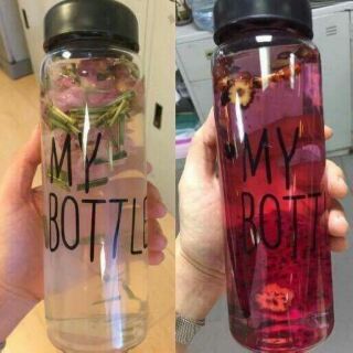 Bình nước my bottle