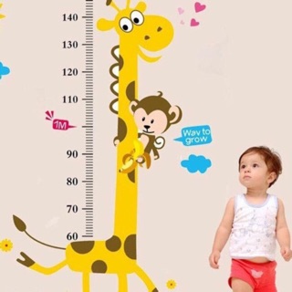 Decal dán tường đo chiều cao