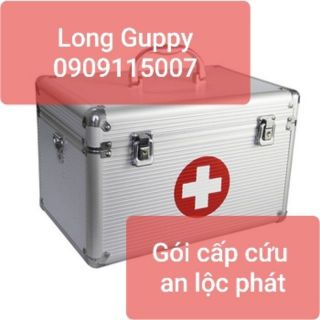 Gói cấp cứu an lộc phát dành cho cá