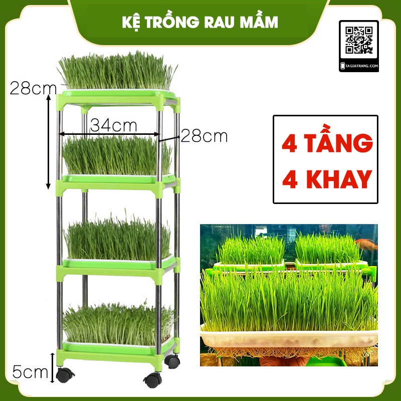 Bộ kệ trồng rau mầm thủy canh 2 tầng 4 khay