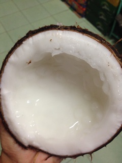 Dừa sáp
