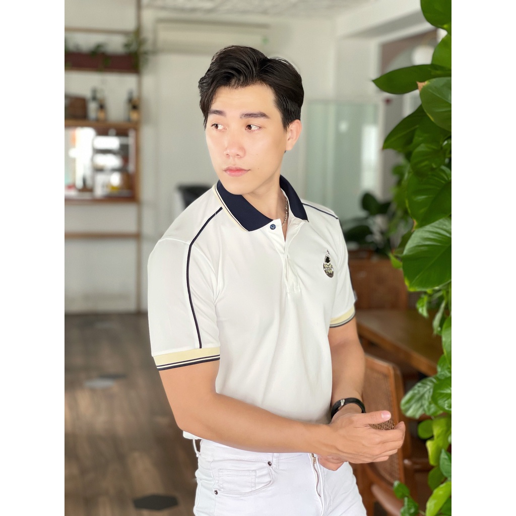 Áo polo nam phối vai, áo cao cấp vải cá sấu size VNXK sang trọng, thời trang, họa tiết cute - HOKOMEN