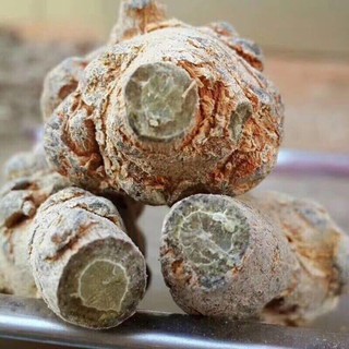 500g tam thất bắc loại 5 củ/100g