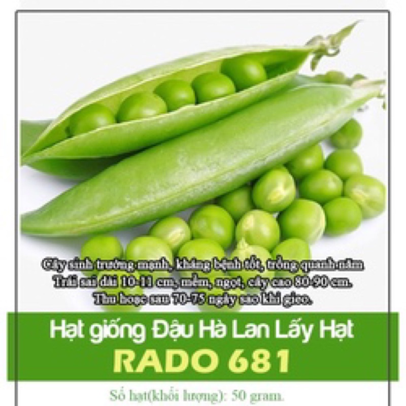 Hạt Giống Đậu Hà Lan Thu Hạt 681 (50gr)