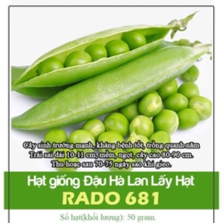 Hạt Giống Đậu Hà Lan Thu Hạt 681 (50gr)