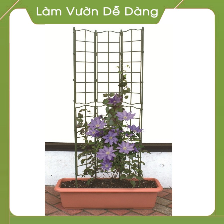 KHUNG ĐỠ DÀNH CHO CÂY HOA LEO-Dùng để chống đỡ cho cây cho leo, với những ô vuông nhỏ trên thân khung giúp cây bám chặt