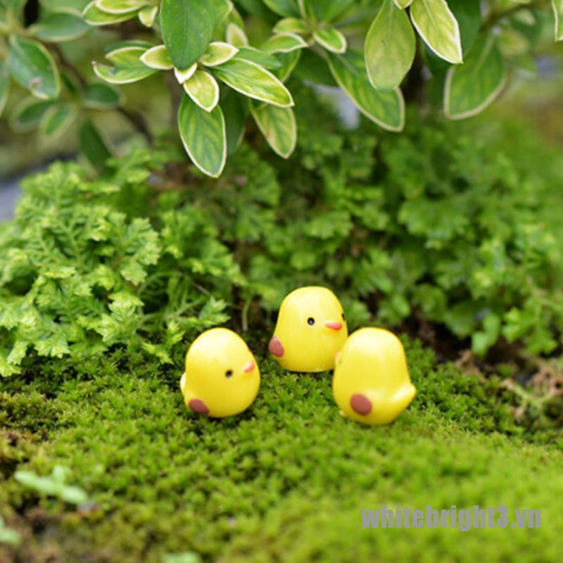 Set 3 / 5 Mô Hình Gà Con Mini Trang Trí Sân Vườn