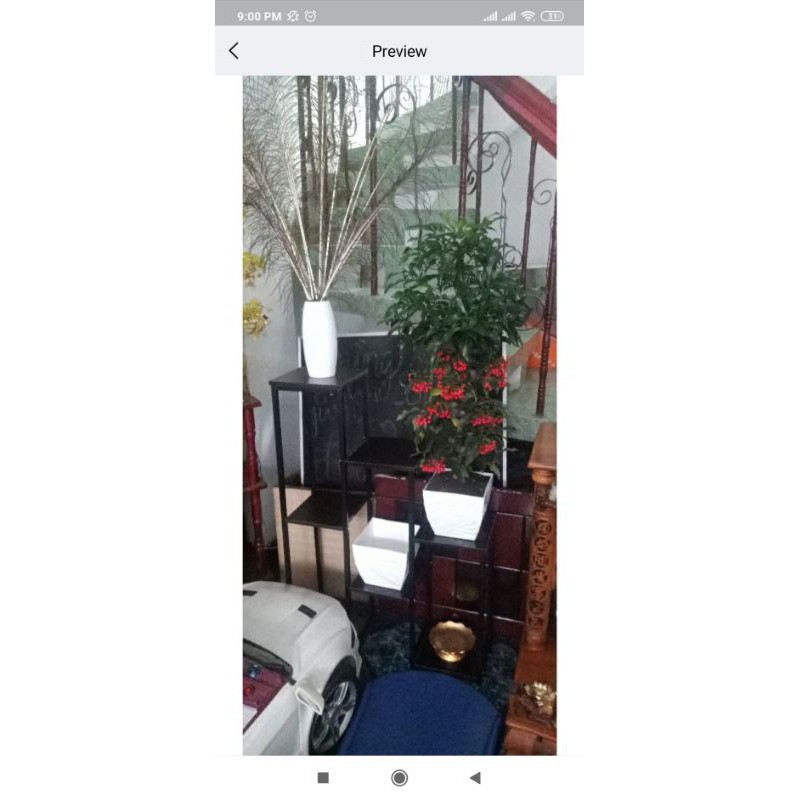 Mẫu mới Bông sen Chậu hoa mai cao cấp bông chơi tết rực rỡ chậu nhựa trồng rau - trang trí quán cafe biệt thự