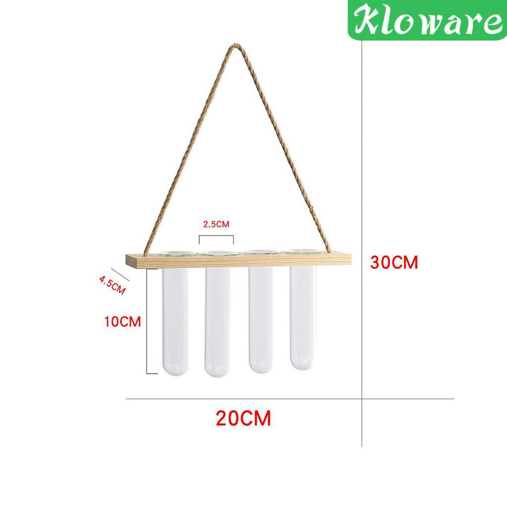 Chậu Kính Trồng Cây Có Móc Treo Tiện Dụng