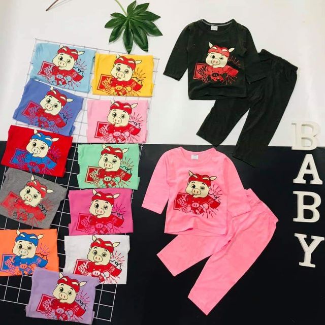 Combo 50b heo thần tài năm 2019