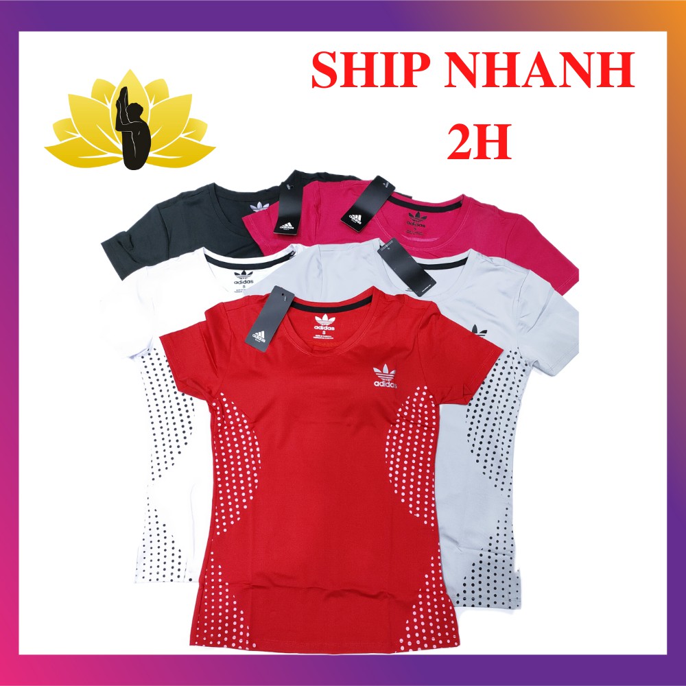 Áo thun phối bi 067- Yoga An Viên