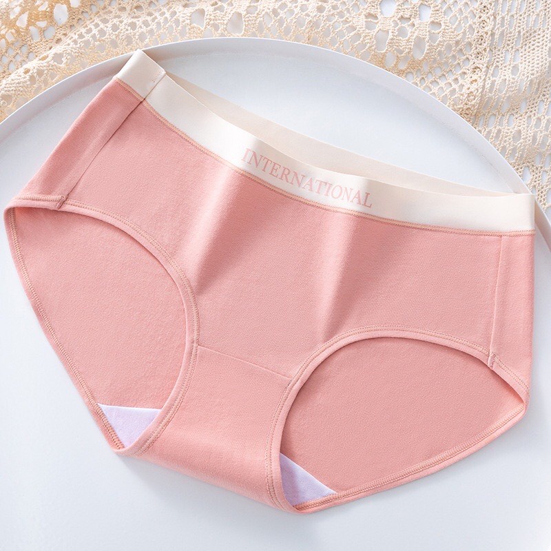 Quần Lót Nữ Cotton Cạp Su Chữ Kháng Khuẩn Cao Cấp 8858