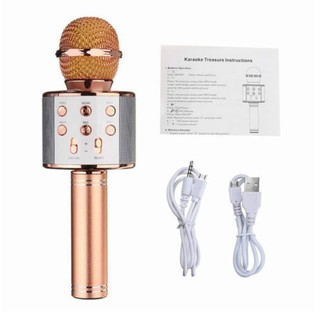 Micro Karaoke Tích Hợp Bluetooth Wster WS-858