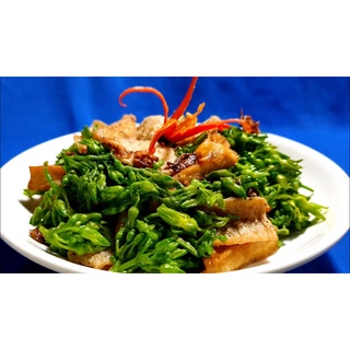 [500gr] Tóp mỡ rim, thực phẩm chay