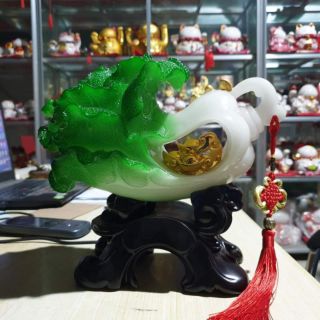 Bắp cải như ý phong thủy