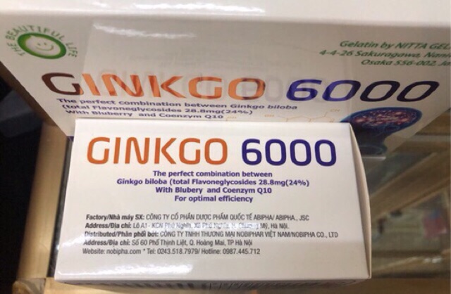Ginkgo 6000- Tăng cường tuần hoàn não