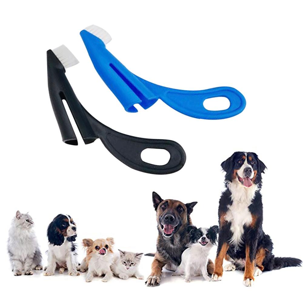 AUGUSTINA Bàn Chải Đánh Răng Ngón Tay Teddy Loại Bỏ Hết Hơi Thở Tiện Dụng Cho Thú Cưng