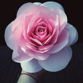 🎀 HOA HỒNG GIẤY - Handmade 🎀