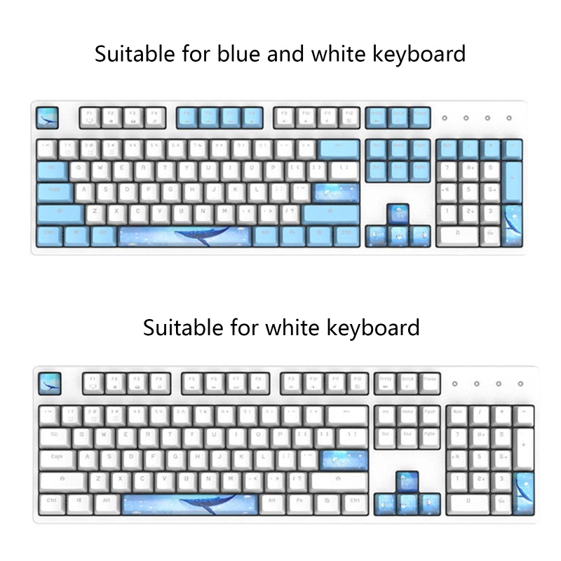 Nắp Đậy Phím 5 Mặt Cho Spacebar 6 25U ESC