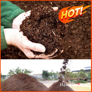 Phân gà ủ trấu, đã hoai mục , tốt cho cây trồng