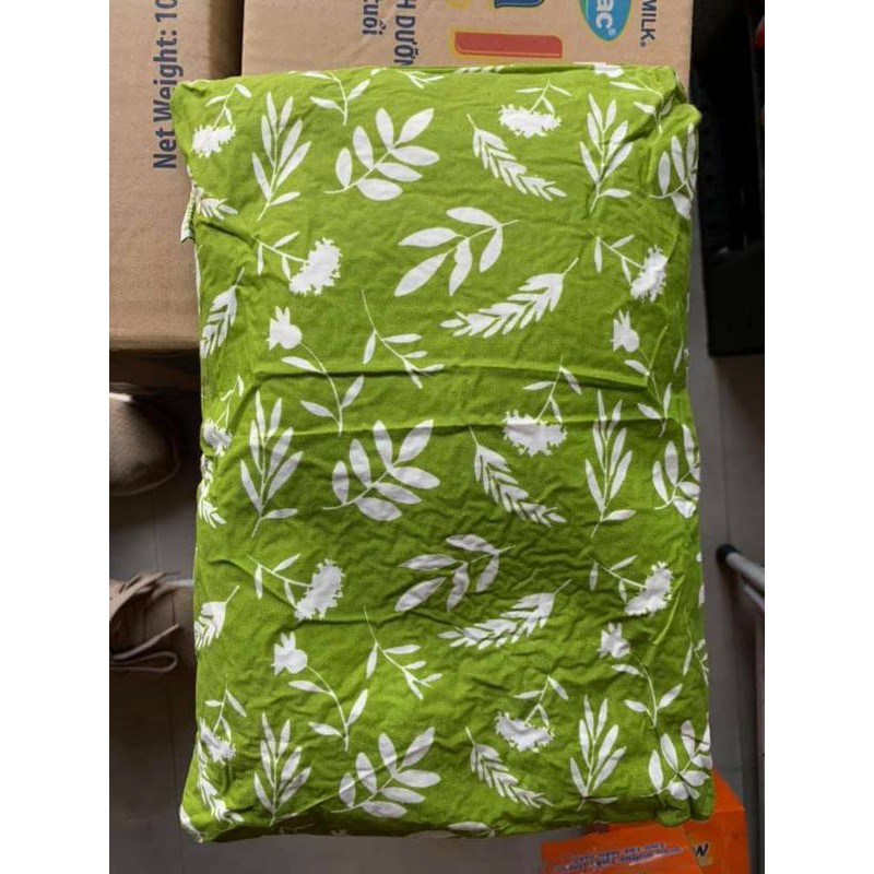 Gối /đai/bóng thảo dược Hapaku (quà tặng vinamilk)