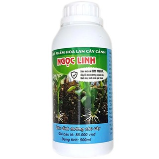 Chế phẩm Ngọc Linh A9 chuyên kích rễ cho Lan