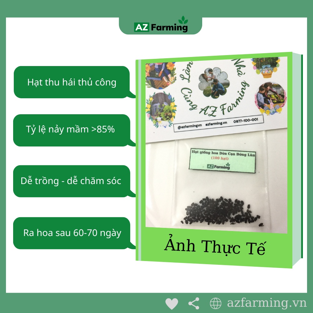 Hạt Giống Hoa Dừa Cạn Đứng Lùn - 100 Hạt - AZ Farming