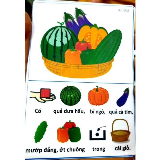 Bộ thẻ tập nói câu 220 thẻ