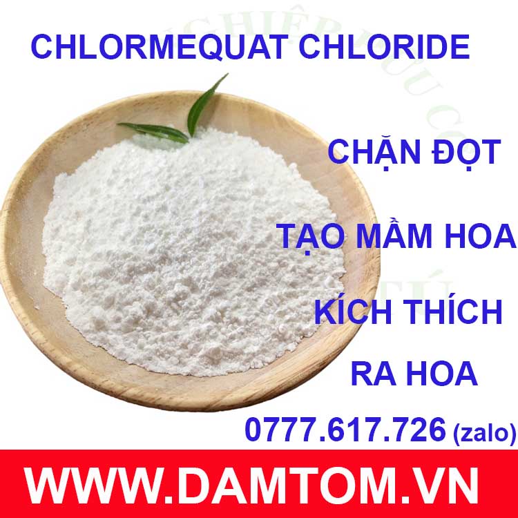 Gói 100g - Chlormequat Chloride CCC 98% - kiểm soát đâm chồi, thúc đẩy sinh sản