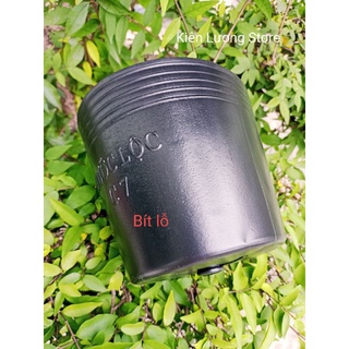 Chậu nhựa đen C7 Bít Lỗ