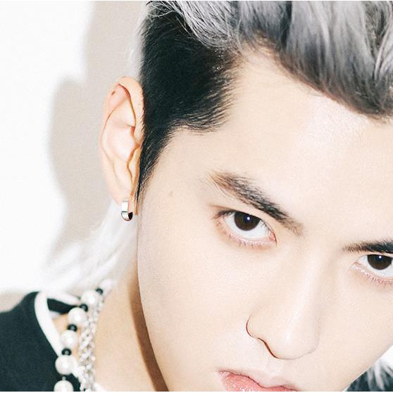 Khuyên Tai Thép Titan A330 Phong Cách Hàn Quốc Cho Nam Và Nữ